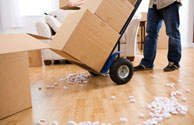A-Line Movers, Inc Moving Company Images
