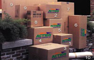 Action Moving Services, Inc Moving Company Images