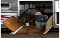 Square Cow Movers Moving Company Images