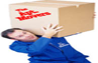 The Apt Movers, Inc Moving Company Images