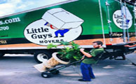 Little Guys Movers Moving Company Images